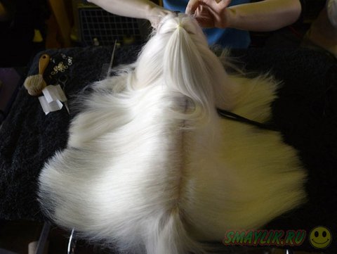 �������� ����� Westminster Kennel Club 2014 � ���-����� 