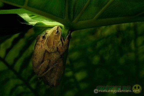 ������������ ������� ����� �������� �� ������ ����-�����