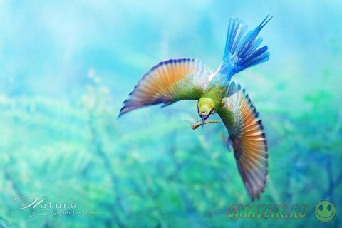 ������������ ������� ����� �������� �� ������ ����-�����