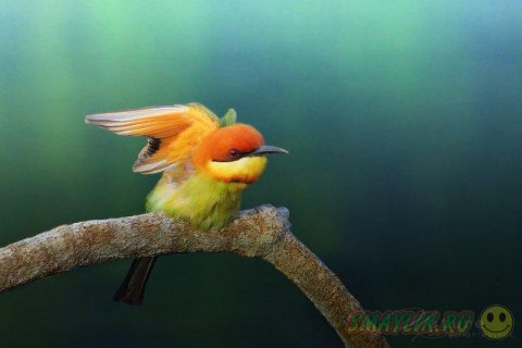 ������������ ������� ����� �������� �� ������ ����-�����