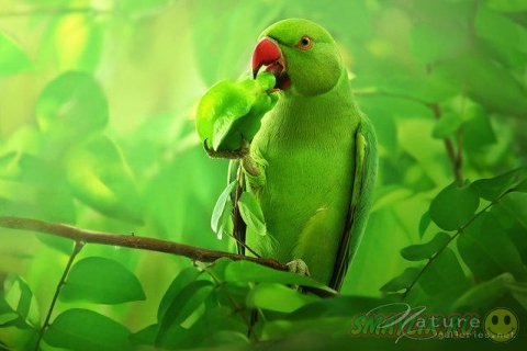 ������������ ������� ����� �������� �� ������ ����-�����