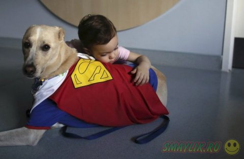 ����� ��������� ����