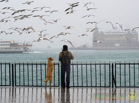 ����� ��������� ����