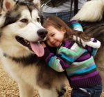 ����� ��������� ����