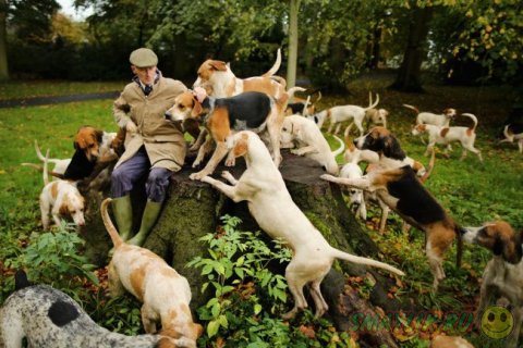 ����� ��������� ����