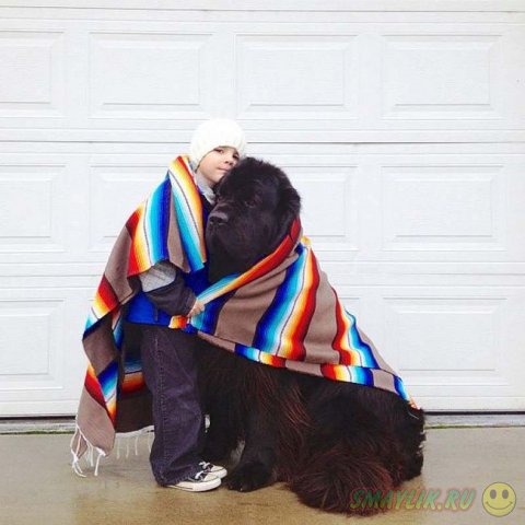 ����� ��������� ����