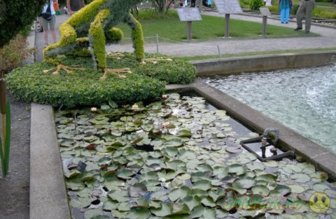 ������������ ��������� �� �������� � ������������ ���� ��������