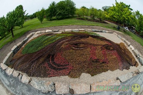 ������������ ��������� �� �������� � ������������ ���� ��������