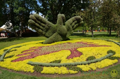 ������������ ��������� �� �������� � ������������ ���� ��������