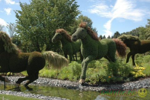 ������������ ��������� �� �������� � ������������ ���� ��������