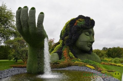 ������������ ��������� �� �������� � ������������ ���� ��������