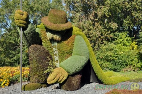 ������������ ��������� �� �������� � ������������ ���� ��������