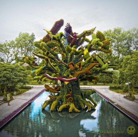 ������������ ��������� �� �������� � ������������ ���� ��������