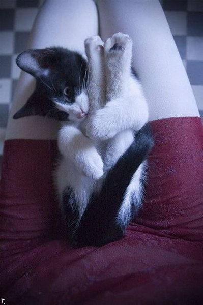 ���������� �����