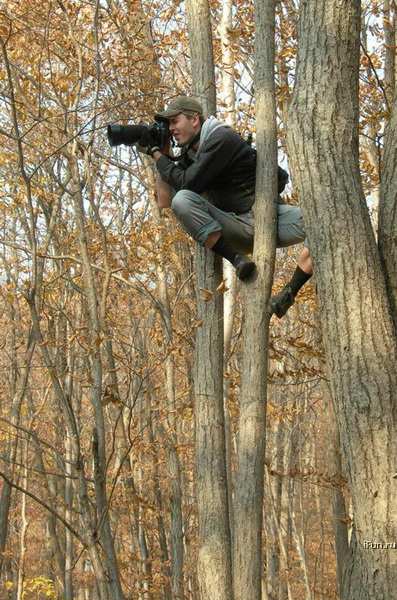 ������� � ����������