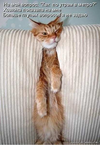 ���������� �������