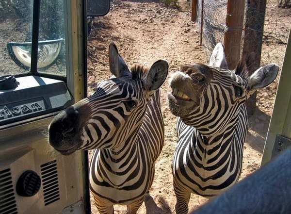 ������������