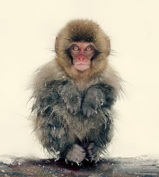 ������������