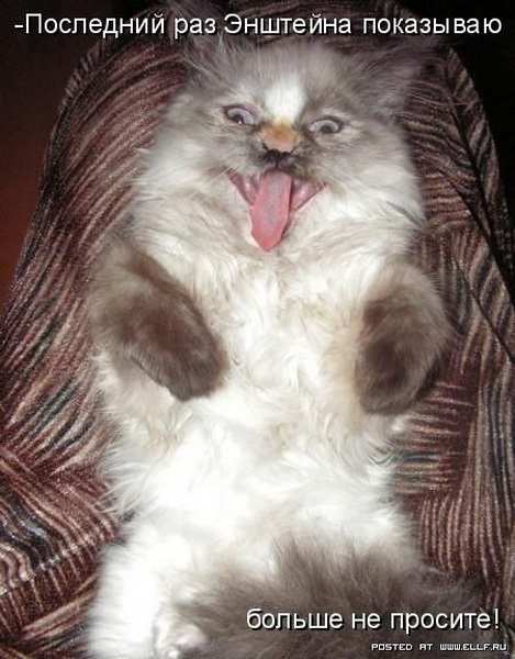 ���������� �������