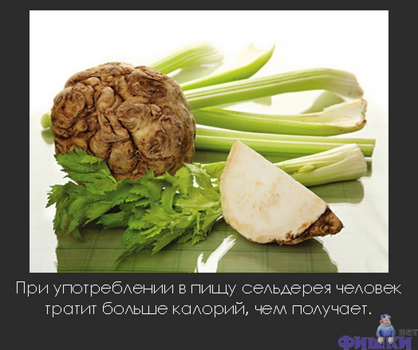 ����� ���������� �����