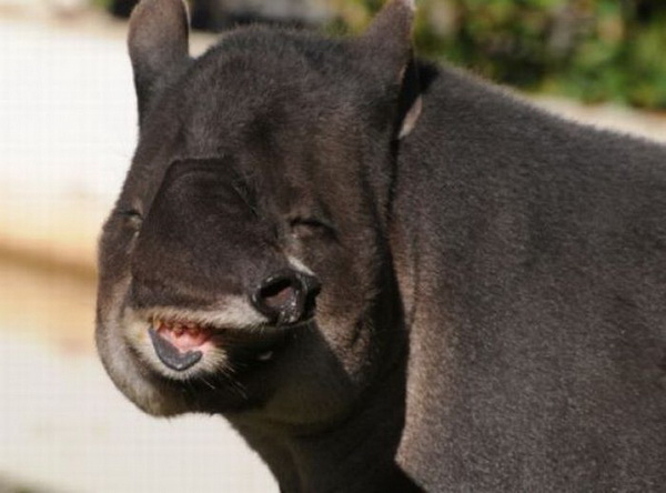 ������������