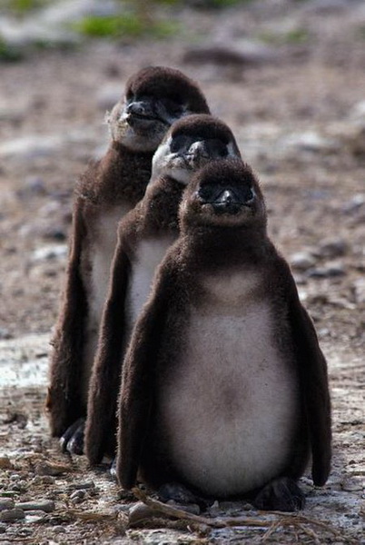 ������������