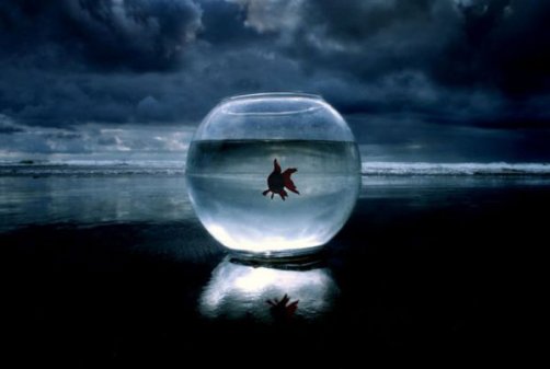 �������� �����