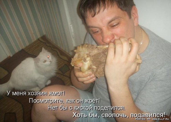 ���������� �������