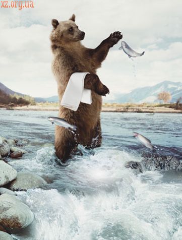 ���������� �����