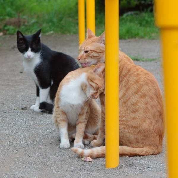 ������������