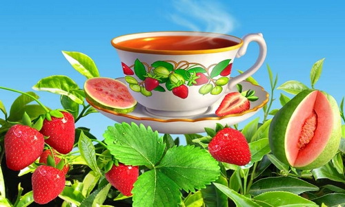 ��������-����������� ������ ������