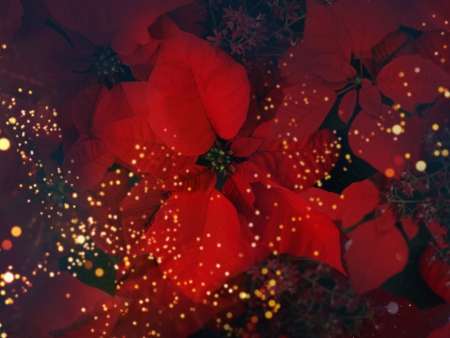 �������.