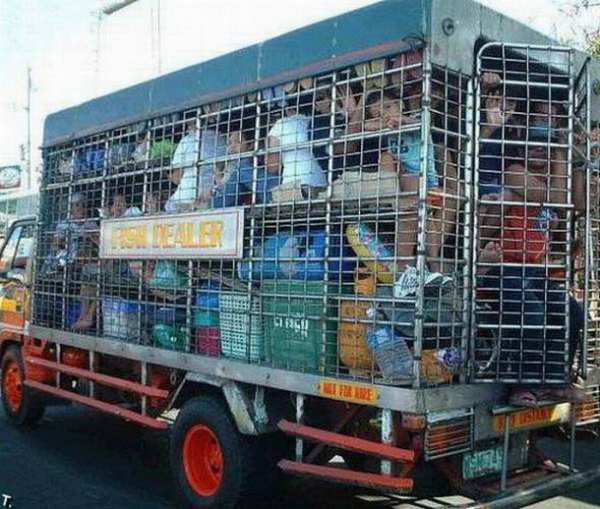 ���������� �����