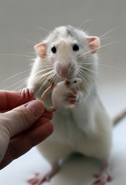 ������������