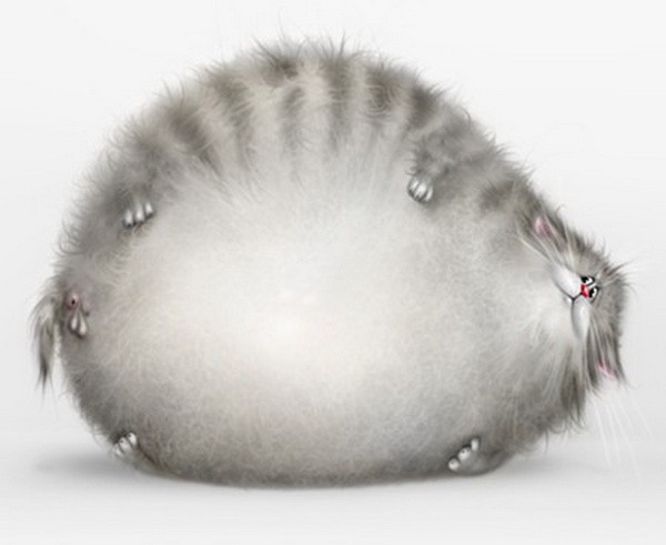 �������� ������� �������