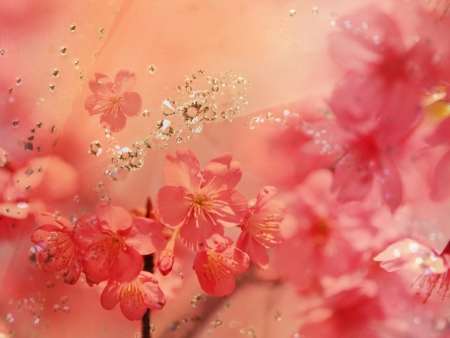 �������.