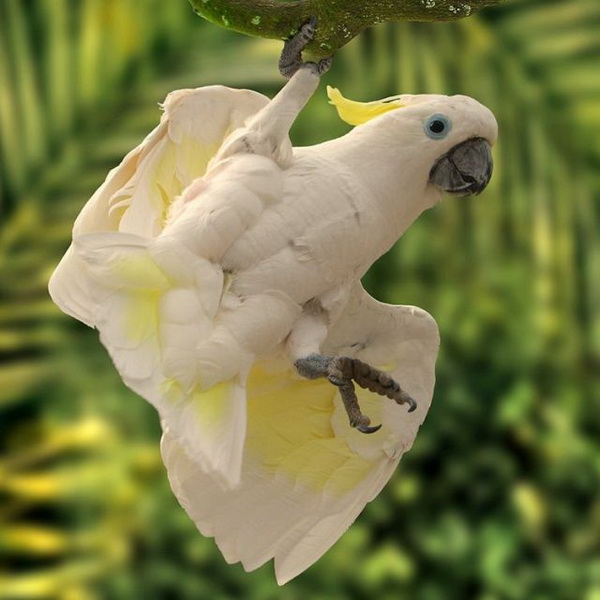 ������������