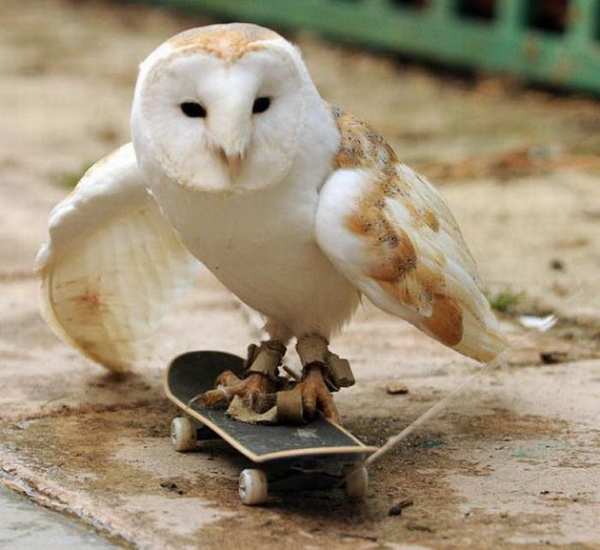 ������������