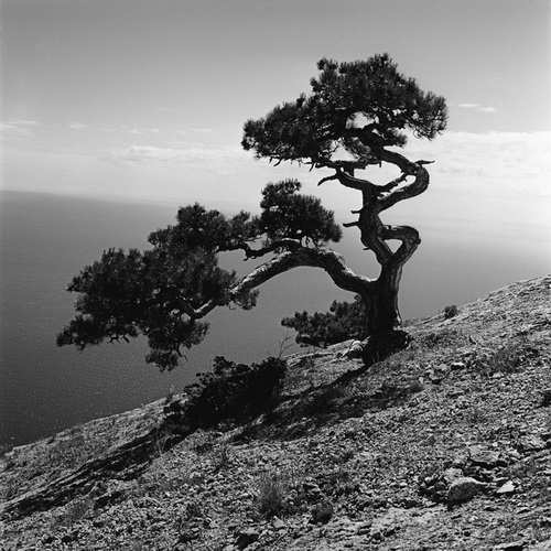 ����� ������