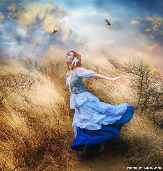 ������ kayceeus