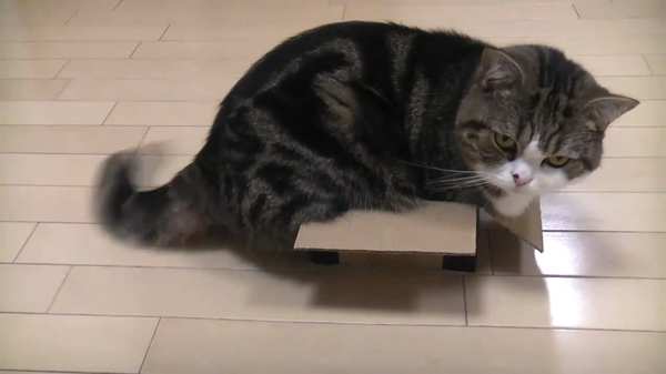 ���� � �������