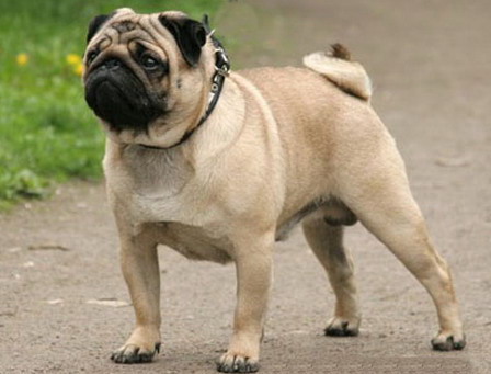 ������ �� ������