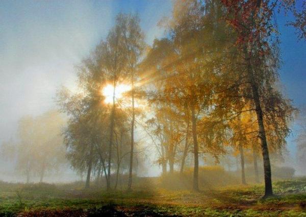 ������� ������