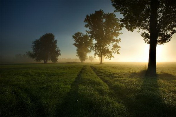 �������� Marek Kiedrowski