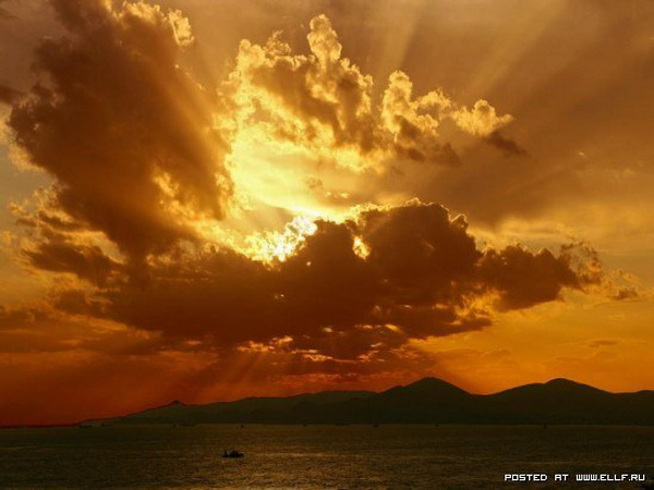 ���� ������