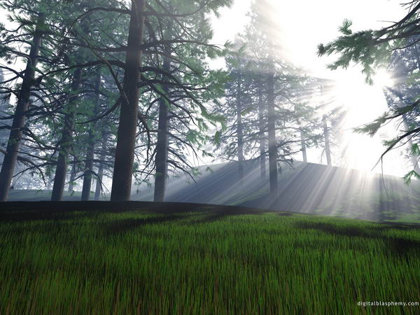 3D ����� �������