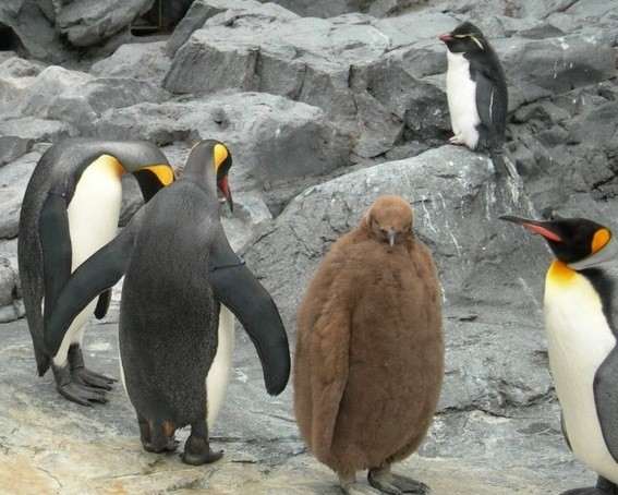 ��� ���?