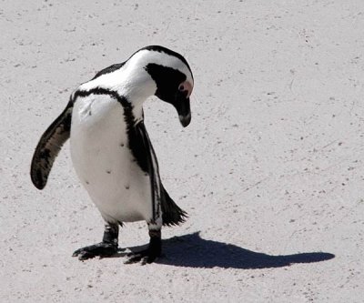 ��� �����?