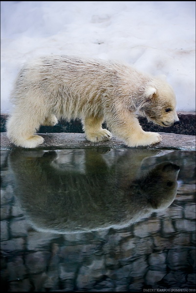 ����� ����� �� �����