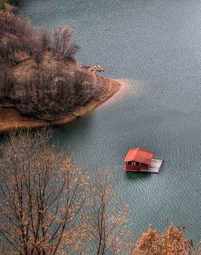 ��� ����������